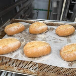 Schrippe organic 80 gram, organic buns 80 gram frozen