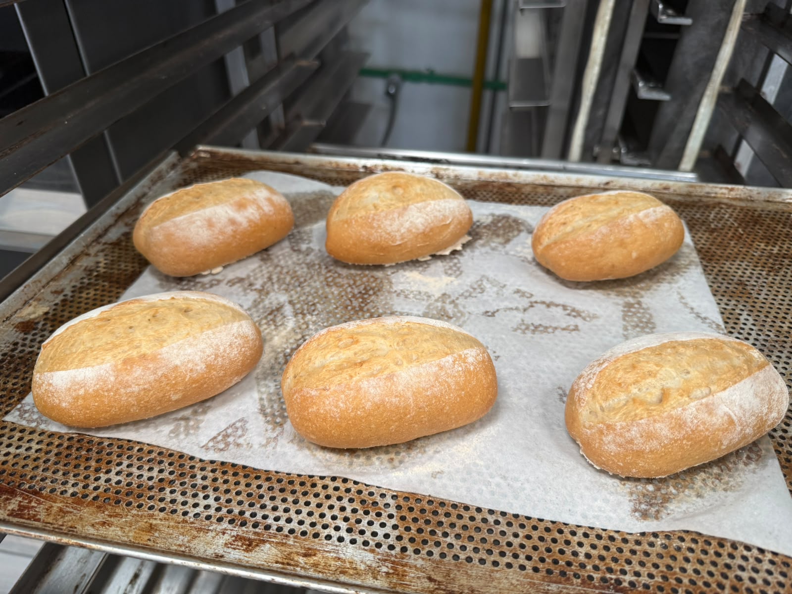 Schrippe organic 80 gram, organic buns 80 gram frozen